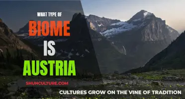 Exploring Austria's Biomes: A Country of Diversity