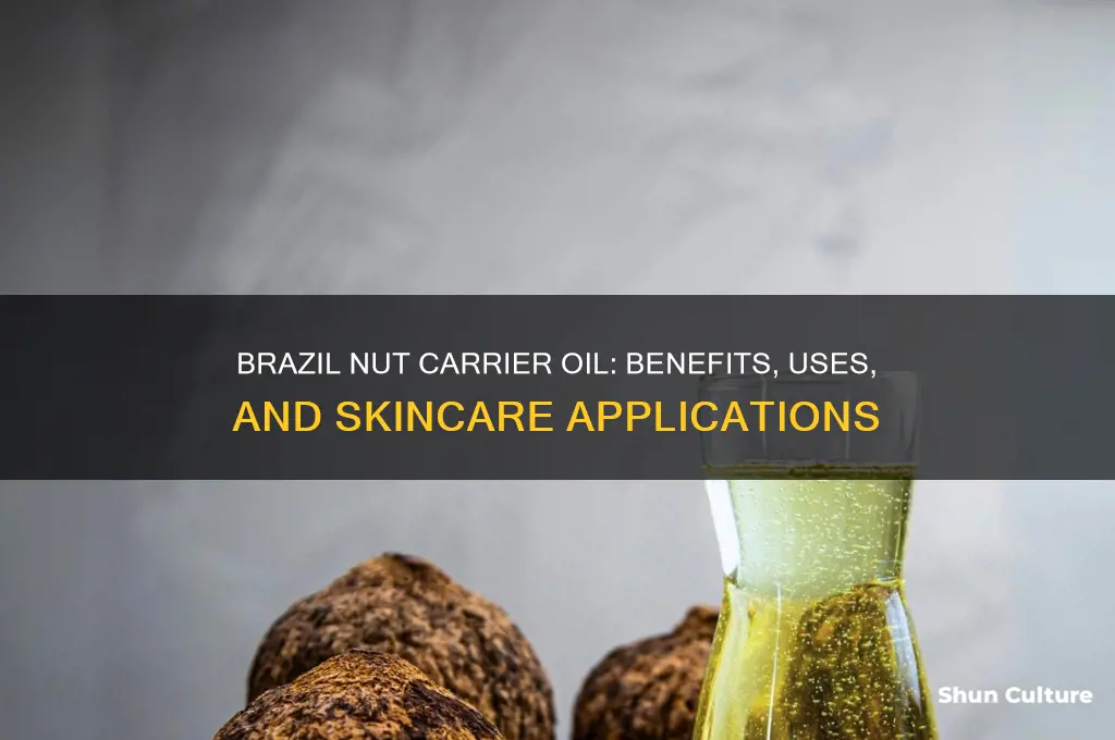 what type of carrier oil is brazil nut