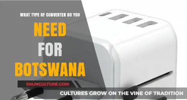 Essential Power Converter Guide for Travelers Visiting Botswana