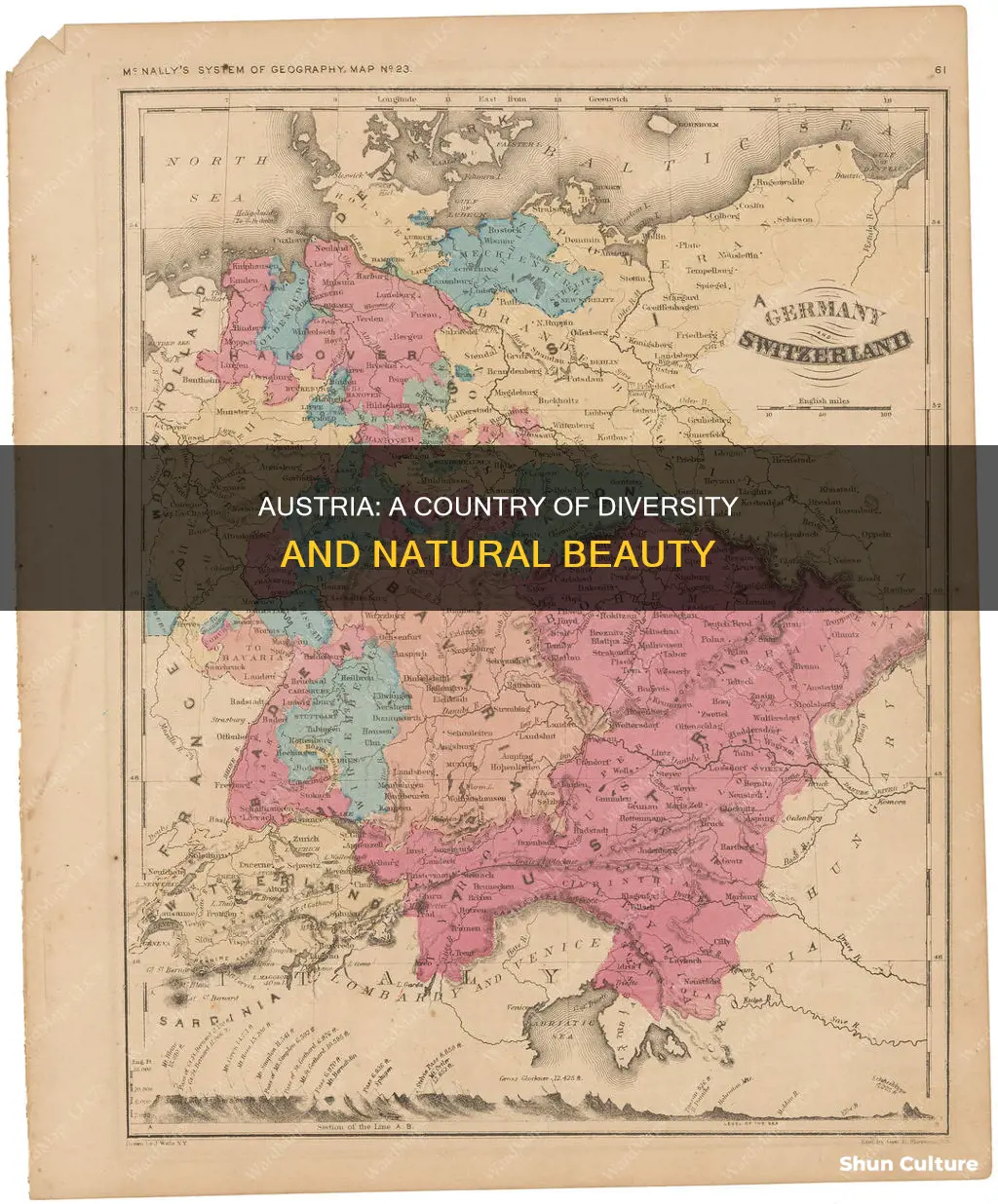 what type of country is austria