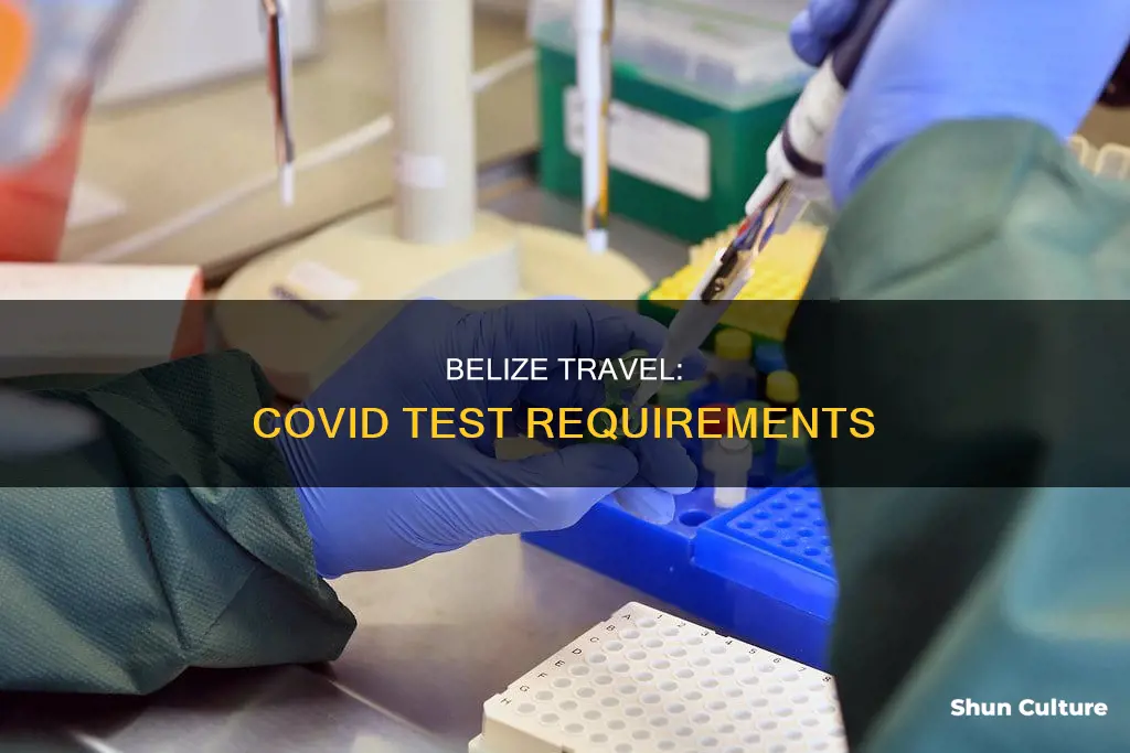 what type of covid test is required to enter belize