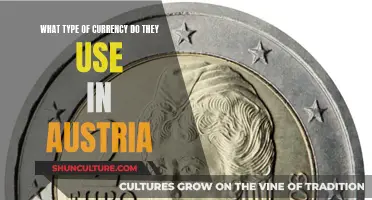 Unveiling Austria's Currency: A Guide to Euro Usage