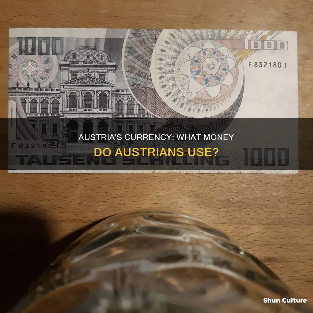what type of currency do they use in austria