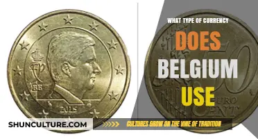 Exploring Belgium's Currency: A Traveler's Guide to the Euro