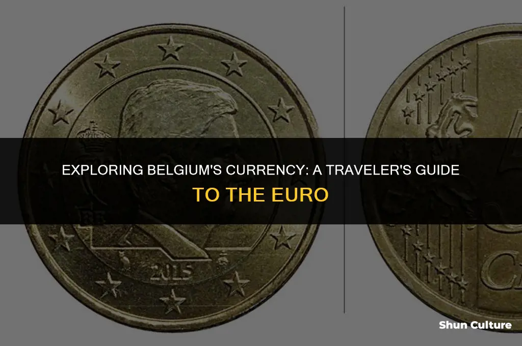 what type of currency does belgium use