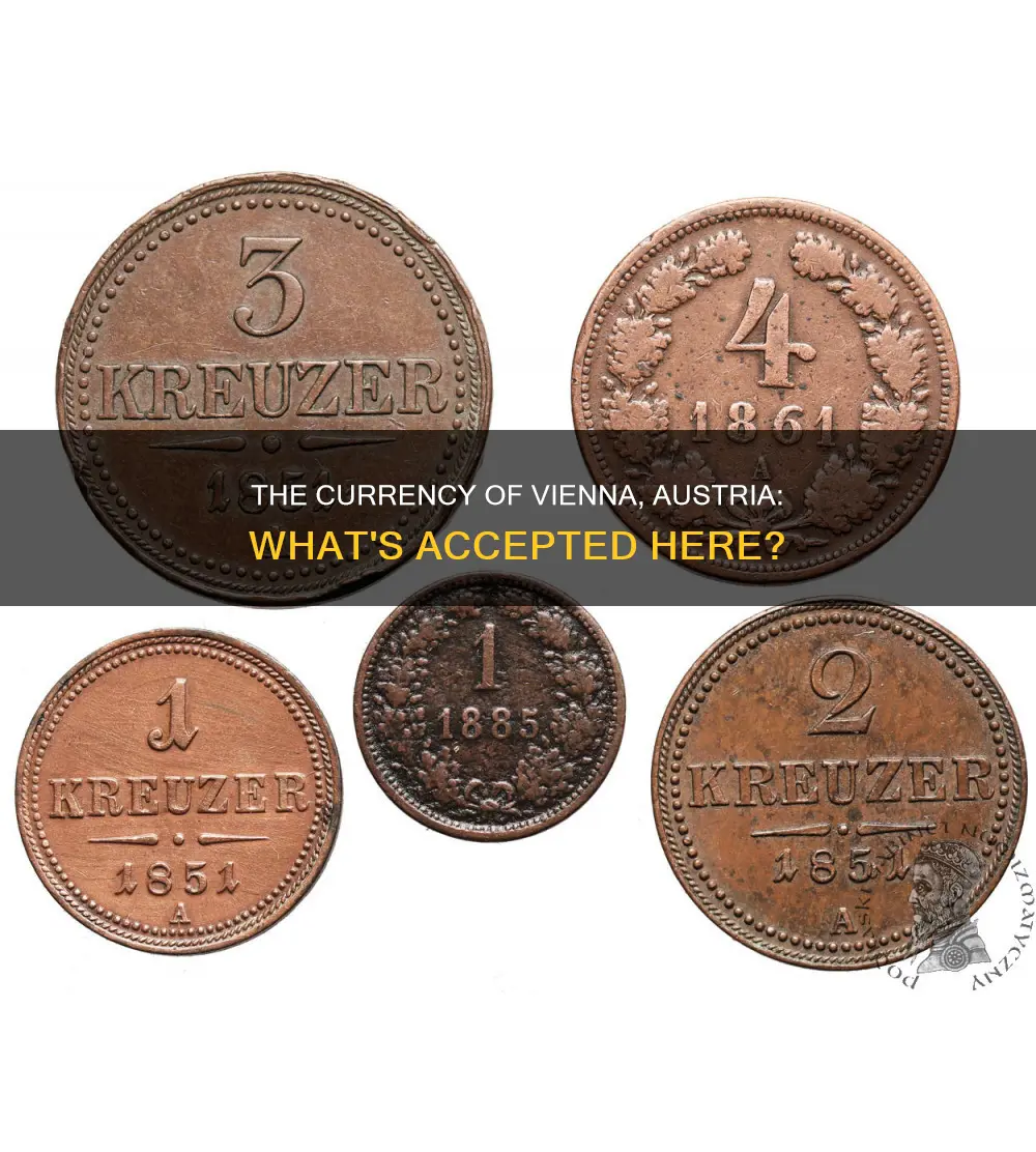 what type of currency is used in vienna austria