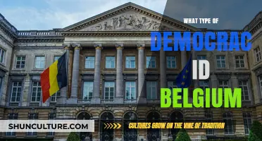 Exploring Belgium's Unique Democratic System: A Comprehensive Guide