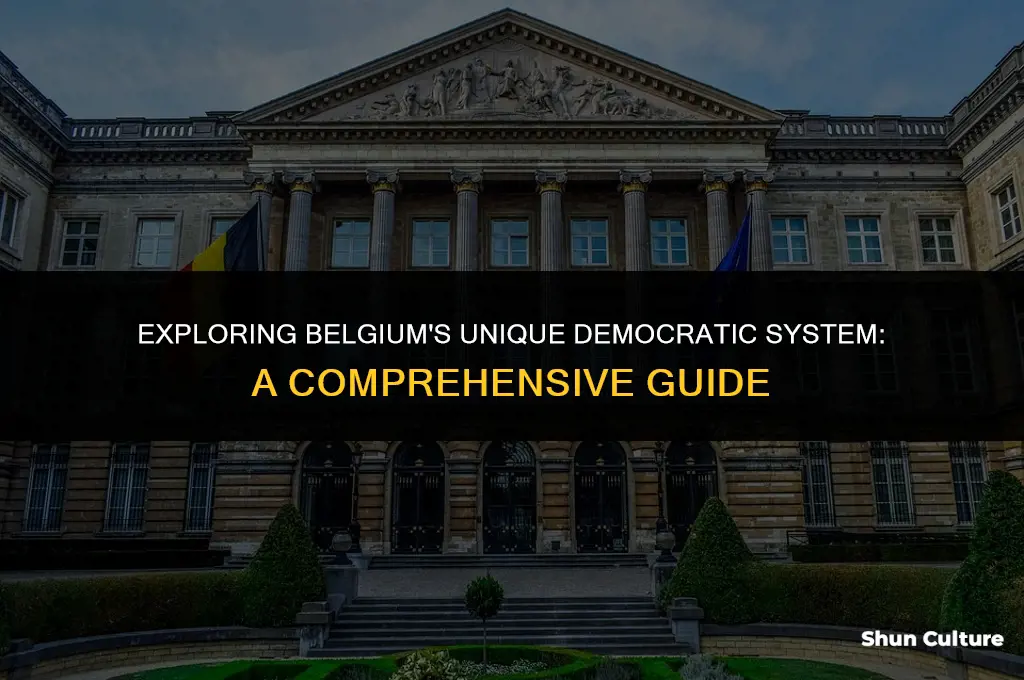 what type of democracy id belgium