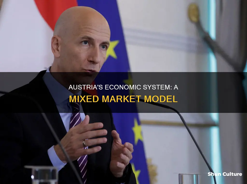 what type of economic system does austria have