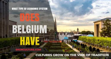 Exploring Belgium's Economic System: A Comprehensive Overview