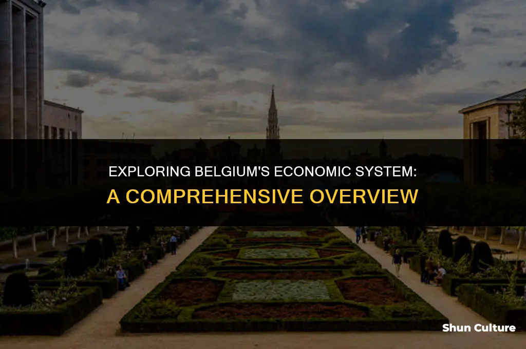 what type of economic system does belgium have