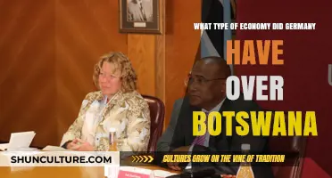 Comparing Germany's Mixed Economy to Botswana's Developing Market Structure