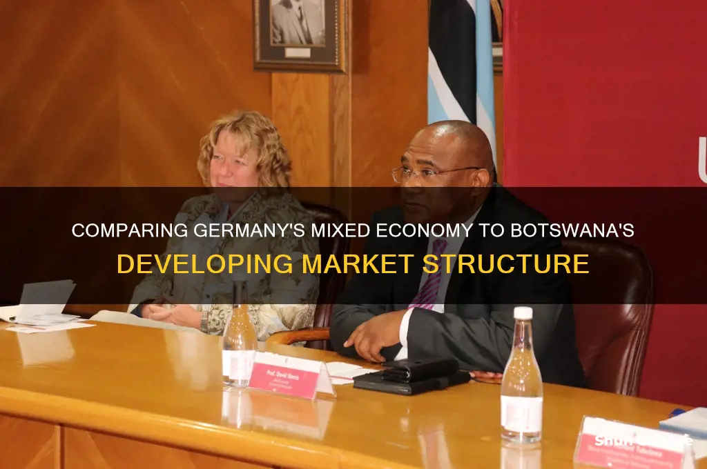 what type of economy did germany have over botswana