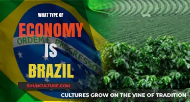 Brazil's Economy: A Mixed Market Powerhouse in Latin America