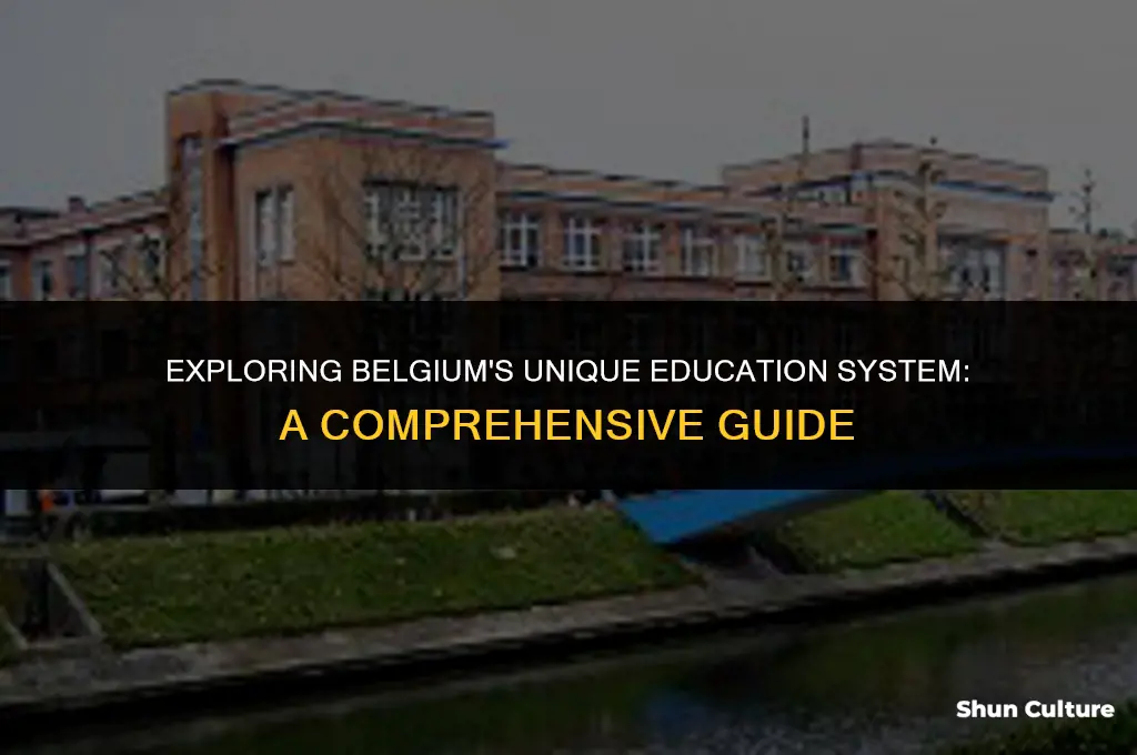 what type of education system do belgium have