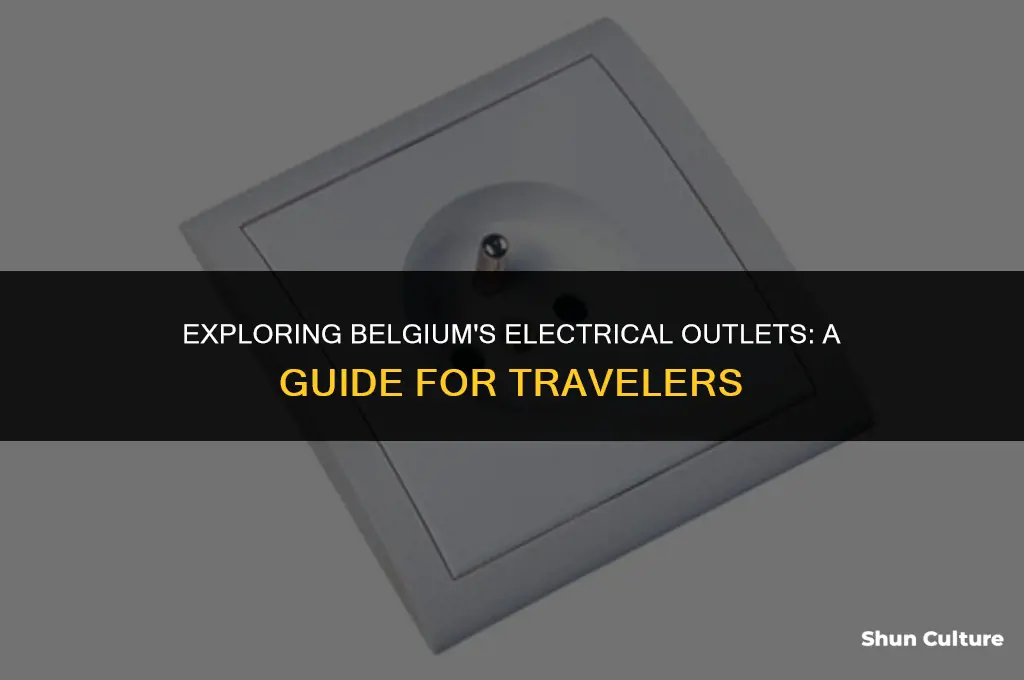 what type of electric outlets dothey have in belgium
