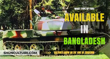 Exploring Bangladesh's Fuel Options: Types, Availability, and Usage Trends