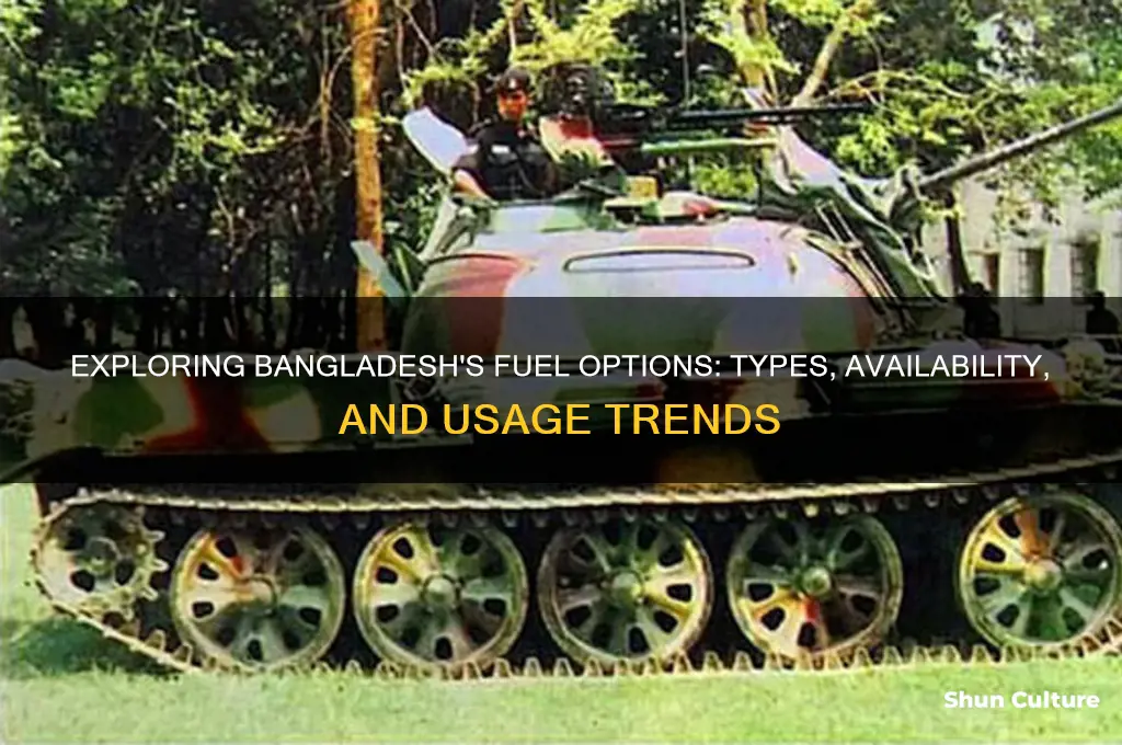 what type of fuel available in bangladesh