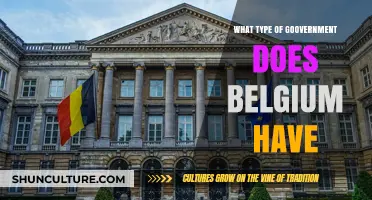 Exploring Belgium's Unique Federal Parliamentary Democracy