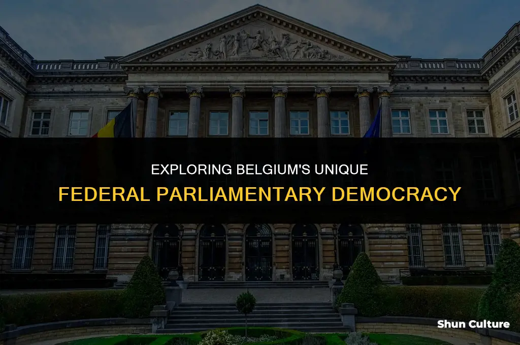 what type of goovernment does belgium have