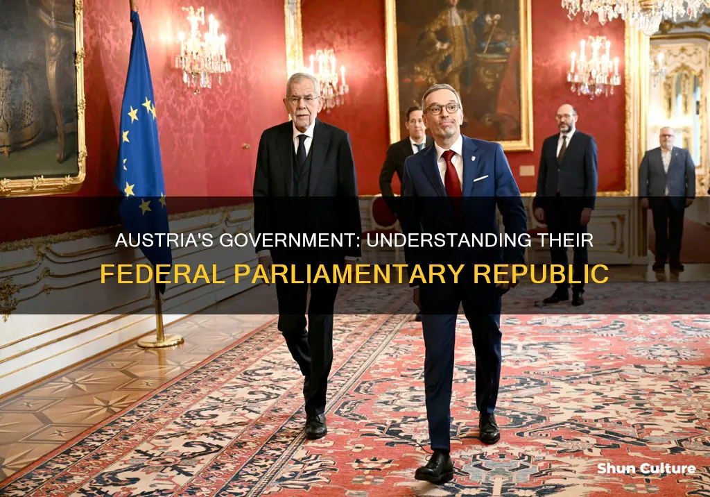 what type of gov does austria have