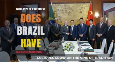 Exploring Brazil's Government: A Federal Presidential Republic Explained