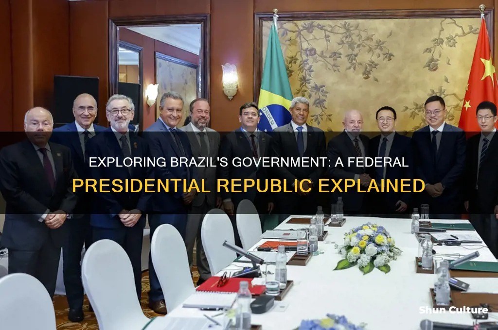 what type of goverment does brazil have