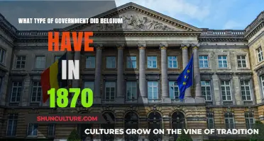 Belgium's 1870 Government: A Constitutional Monarchy in Practice