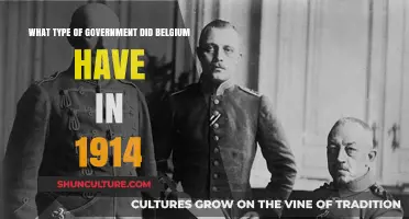 Belgium's Government in 1914: A Constitutional Monarchy Prevails