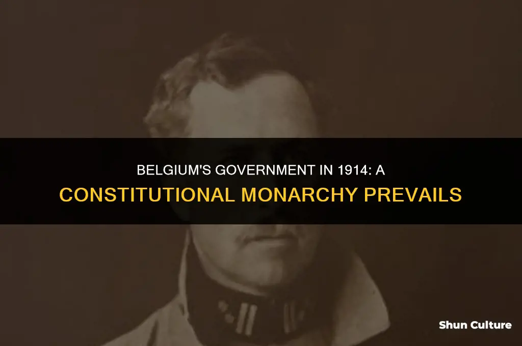 what type of government did belgium have in 1914