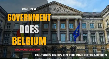Exploring Belgium's Unique Federal Parliamentary Democracy