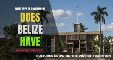 Belize's Government: Democracy and Parliamentary System