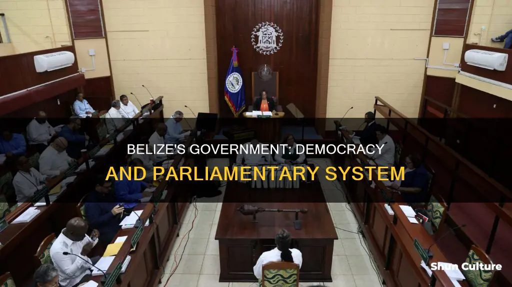 what type of government does belize have