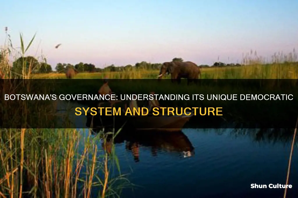 what type of government does botswana have