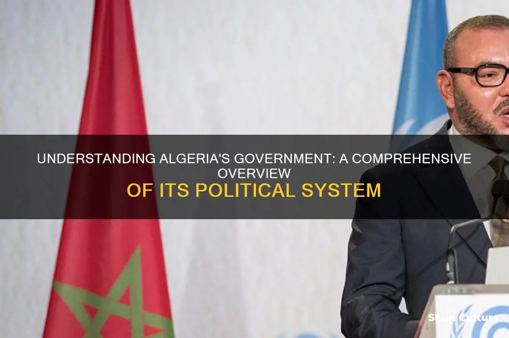 what type of government is algeria