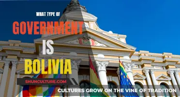 Bolivia's Government: A Deep Dive into Democracy