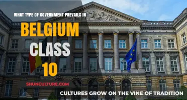 Exploring Belgium's Government Structure for Class 10 Students