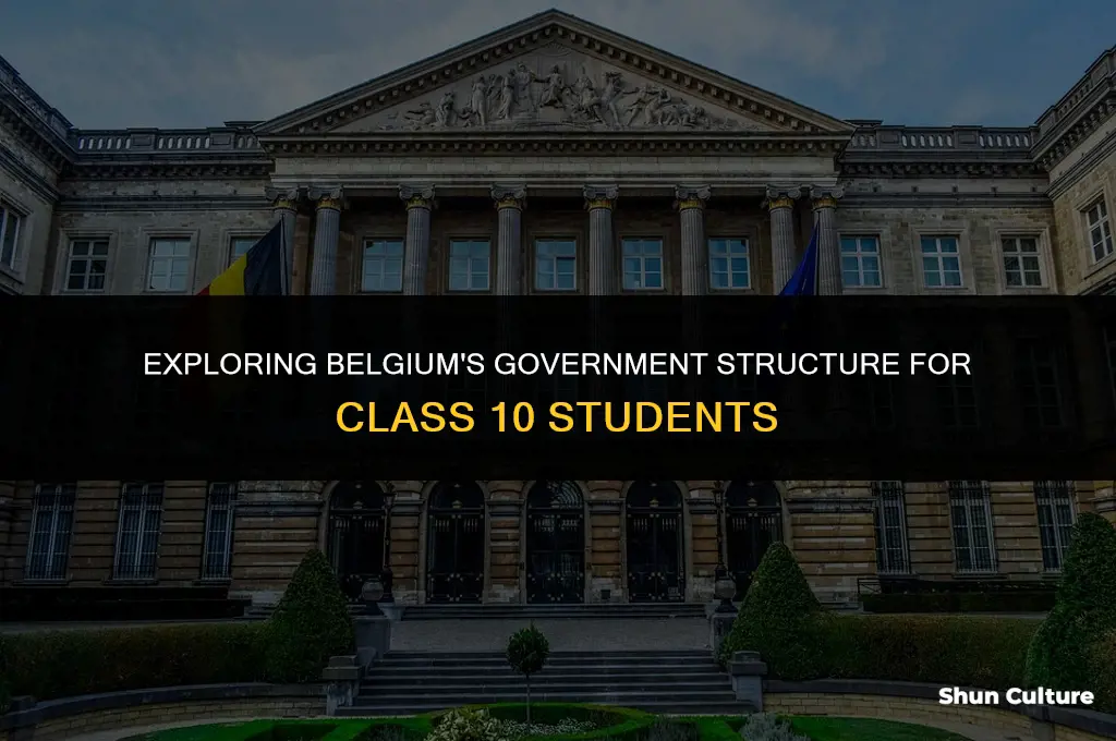 what type of government prevails in belgium class 10