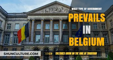 Exploring Belgium's Political Landscape: A Look at Its Government Structure