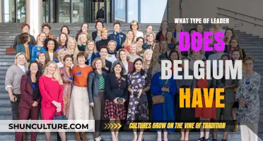 Exploring Belgium's Leadership: A Constitutional Monarchy in Action
