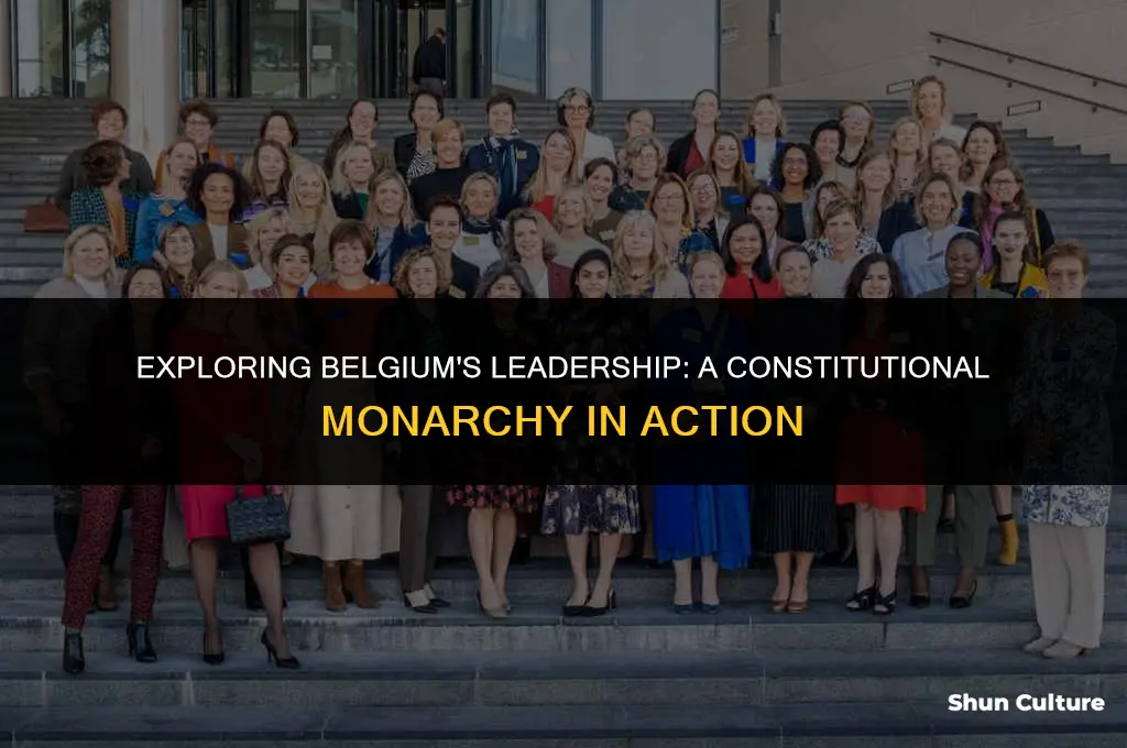 what type of leader does belgium have