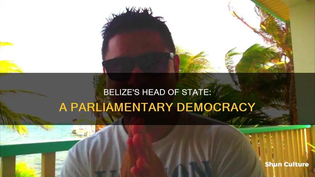 what type of leader does belize have