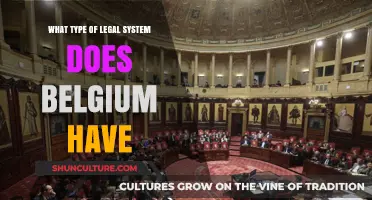Exploring Belgium's Hybrid Legal System: A Unique Blend of Civil and Common Law