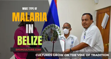 Malaria Types in Belize