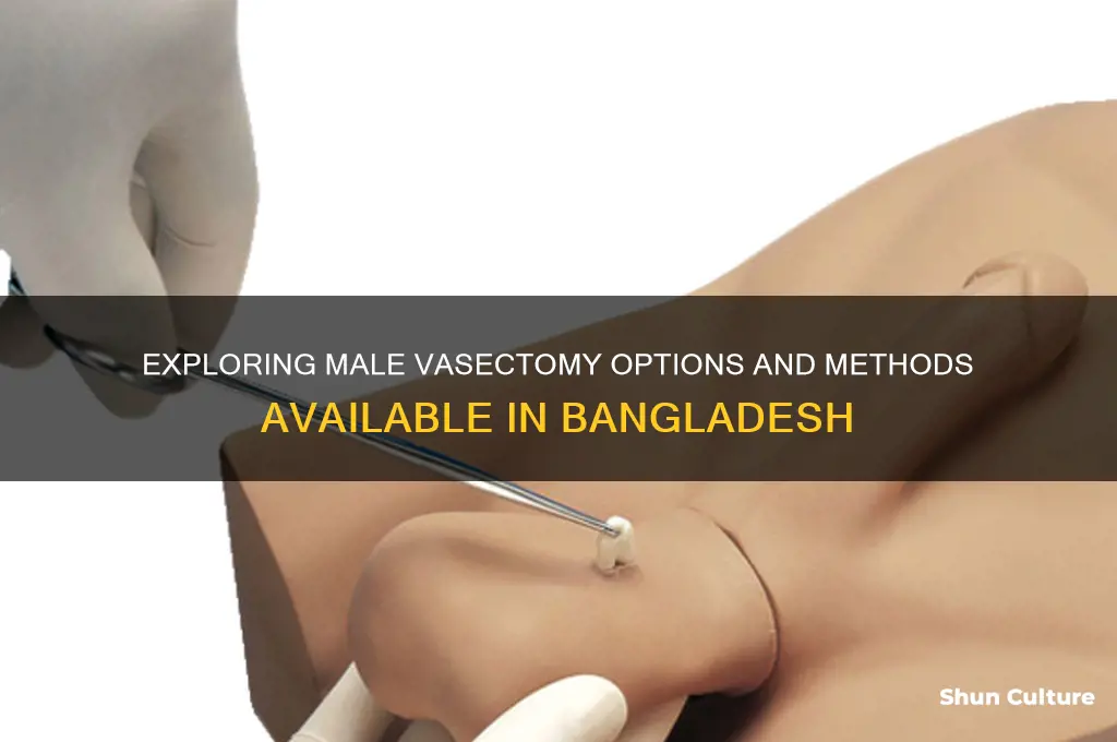 what type of male vasectomy available in bangladesh method mix