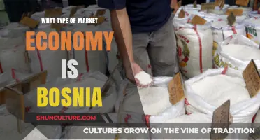 Bosnia's Market Economy: A Transitional, Mixed, and Developing Model