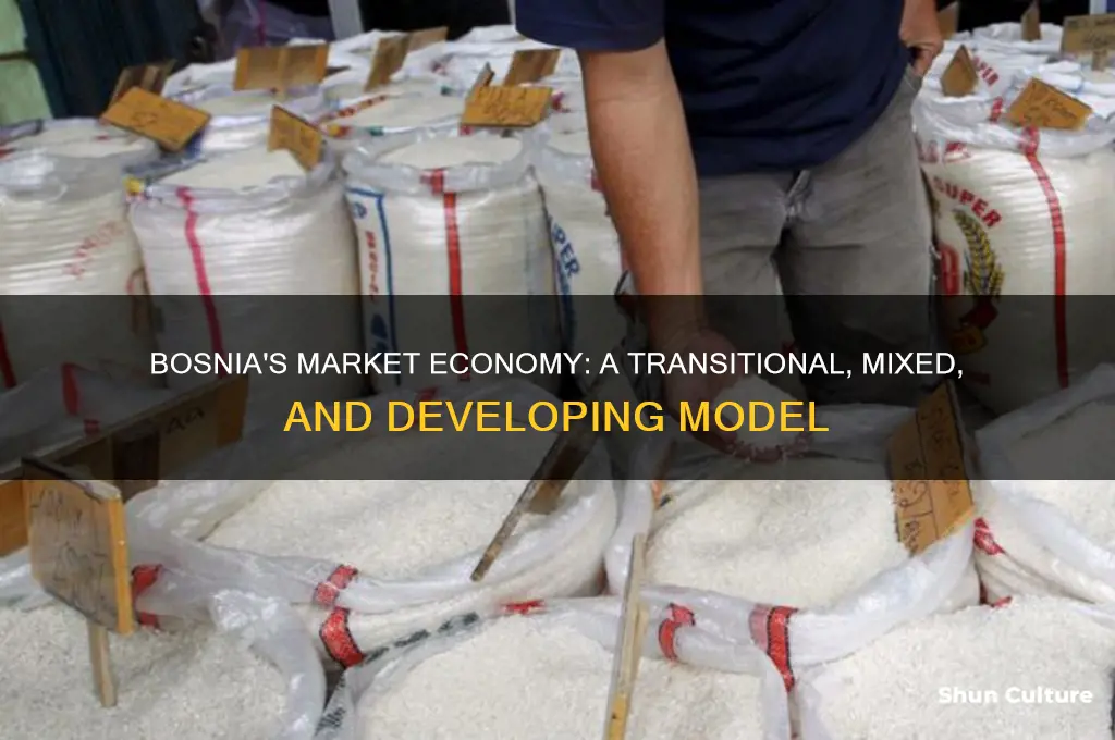 what type of market economy is bosnia