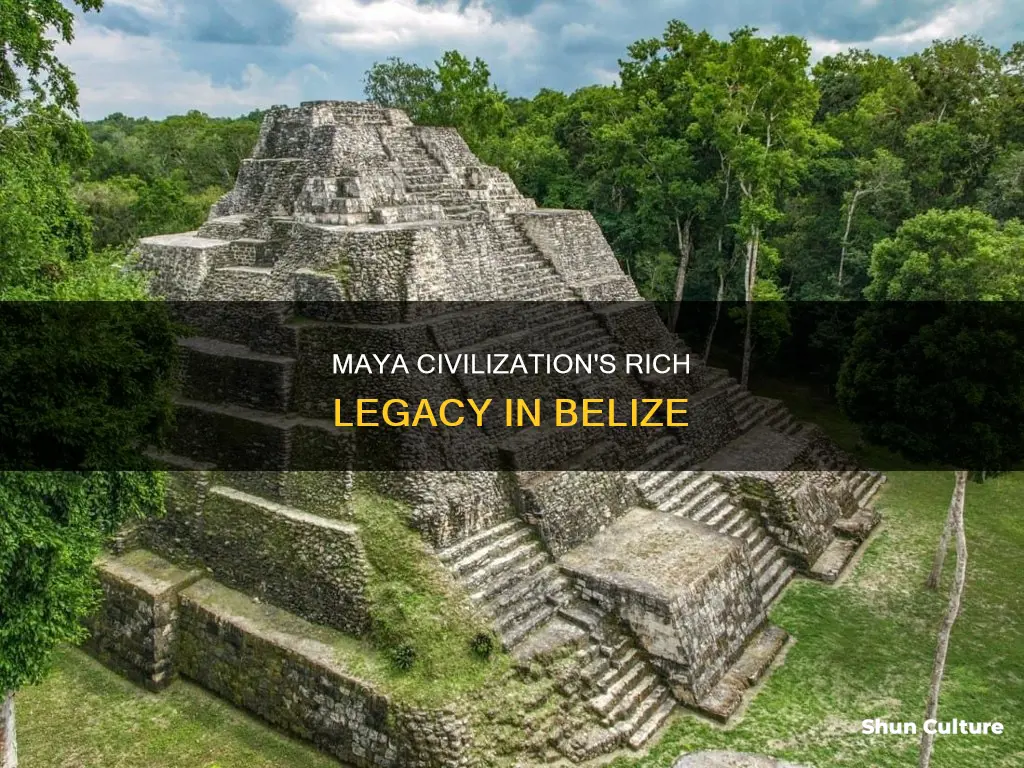 what type of maya are found in belize