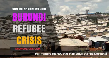 Understanding the Burundi Refugee Crisis: A Humanitarian Perspective