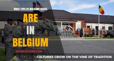 Exploring Belgium's Military Bases: A Comprehensive Overview
